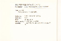 鬼針藏品圖，第2張