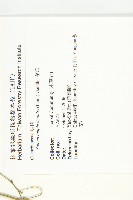 茅瓜藏品圖，第2張