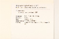 佩蘭、澤蘭藏品圖，第2張