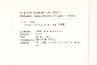 雞兒腸藏品圖，第2張