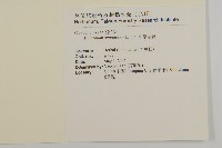 牛繁縷藏品圖，第2張