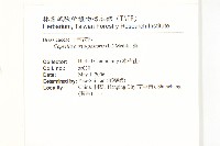 薺藏品圖，第2張