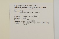 日本假蓬藏品圖，第2張