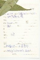 中華青莢葉藏品圖，第2張