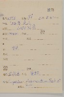 煙管草藏品圖，第2張