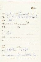 小花糖芥藏品圖，第2張