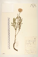 祁州漏盧藏品圖，第1張