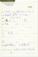 燈臺樹藏品圖，第2張