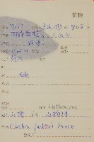 山柳藏品圖，第2張