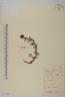 登錄號:S133241藏品圖，第1張