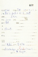 小瓦松藏品圖，第2張