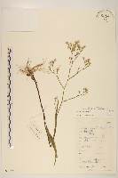 登錄號:S133270藏品圖，第1張