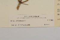 登錄號:S133280藏品圖，第3張