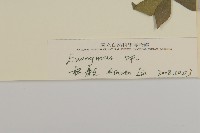 登錄號:S133319藏品圖，第3張