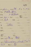 小紅菊藏品圖，第2張