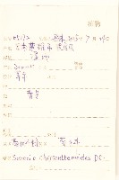 菊狀千里光藏品圖，第2張