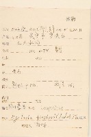 戟葉橐吾藏品圖，第2張