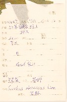 苦滇菜、苦菜藏品圖，第2張
