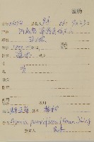 束傘亞菊藏品圖，第2張
