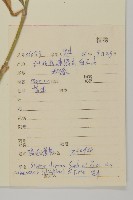 疏毛女萎菜藏品圖，第2張