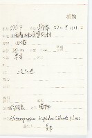 狗娃花藏品圖，第2張