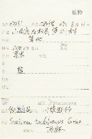 華北藍盆花藏品圖，第2張