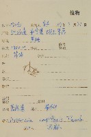 茵蔯蒿藏品圖，第2張