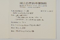 繁縷藏品圖，第2張