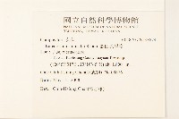 島田氏澤蘭藏品圖，第2張