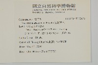 佩羅特木藏品圖，第2張