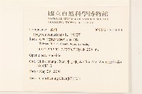 野塘蒿藏品圖，第2張