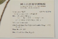 南華南蛇藤，青江藤藏品圖，第2張