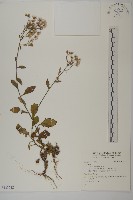 登錄號:S133712藏品圖，第1張