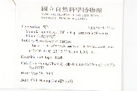 台灣黃鵪菜藏品圖，第2張