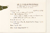 田代氏澤蘭藏品圖，第2張