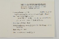 瓜槌草、漆姑草藏品圖，第2張