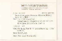 福山氏飛蓬藏品圖，第2張