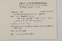 玉山抱莖籟簫藏品圖，第2張