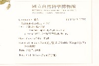 刺萵苣藏品圖，第2張