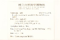 貓腥草藏品圖，第2張