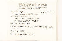 苦滇菜、苦菜藏品圖，第2張