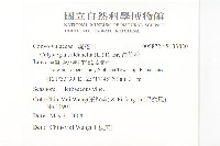 濱旋花藏品圖，第2張