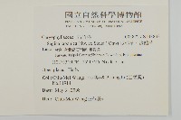 瓜槌草、漆姑草藏品圖，第2張