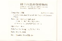 貓腥草藏品圖，第2張