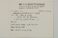 豬草、瘤果菊藏品圖，第2張