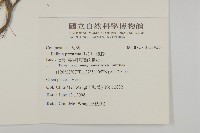 鱧腸藏品圖，第2張