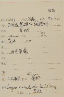 加拿大蓬藏品圖，第2張