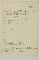 黃腺香青藏品圖，第2張