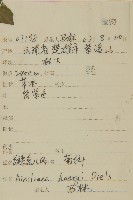 長穗兔兒風藏品圖，第2張