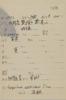 杓兒菜藏品圖，第2張